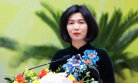 Chân dung tân Chủ tịch HĐND TP. Hà Nội Phùng Thị Hồng Hà