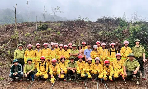 Chi cục Kiểm lâm Thái Nguyên: Tiếp tục phát triển lâm nghiệp đồng bộ và hiệu quả sau sáp nhập