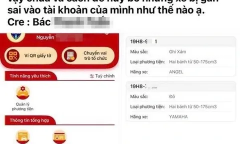 VNeTraffic hiển thị xe "lạ": Người dân cần làm gì để bảo vệ quyền lợi?