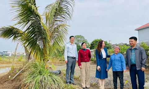 Lãnh đạo phường Móng Cái 2 thăm mô hình sản xuất nông nghiệp trên địa bàn