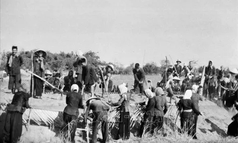 Phong cách Nguyễn Thi: Hiện thực dữ dội và chiều sâu nhân bản