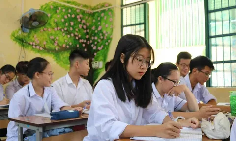 Hơn 6.700 thí sinh thi học sinh giỏi quốc gia THPT năm học 2025–2026