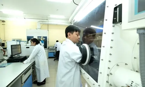 ĐH Quốc gia TP.HCM đặt mục tiêu bổ sung 1.500 tiến sĩ trong giai đoạn 2026–2030