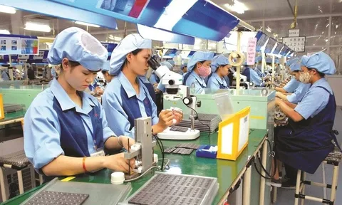 Thị trường lao động năm 2025 khởi sắc, thu nhập và việc làm cùng cải thiện