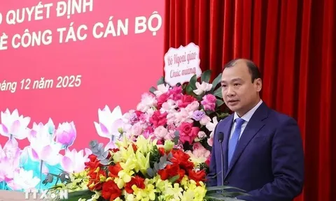 Thứ trưởng Lê Hải Bình làm Phó Giám đốc Học viện Chính trị quốc gia Hồ Chí Minh
