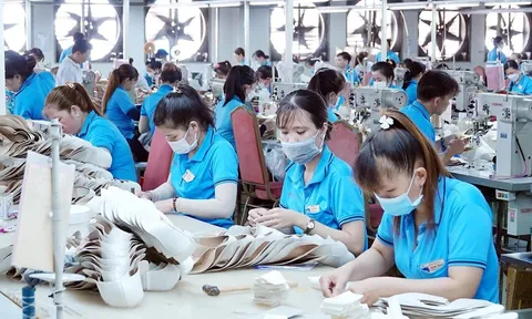 Làn sóng doanh nghiệp trở lại năm 2025: Gần 300.000 đơn vị gia nhập thị trường