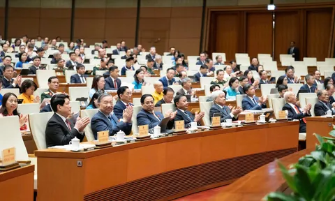 Kết quả Kỳ họp thứ 10, Quốc hội khóa XV