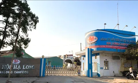 Vạch trần chuỗi vi phạm an toàn thực phẩm tại Công ty Đồ hộp Hạ Long