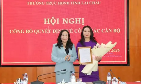 Điều động bổ nhiệm nhân sự lãnh đạo mới tại Hà Tĩnh, Lai Châu