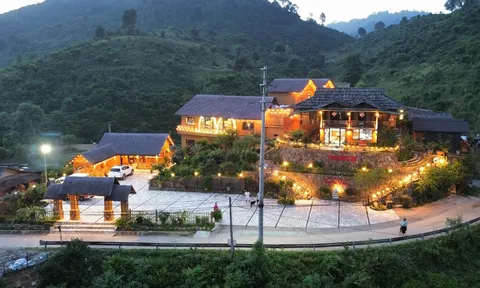 Suối Giàng – miền chè cổ thụ và giấc mơ du lịch bền vững giữa đại ngàn Tây Bắc