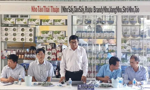 Phường Đô Vinh (Khánh Hoà) từng bước hình thành vùng trồng dừa xiêm liên kết, phục vụ xuất khẩu