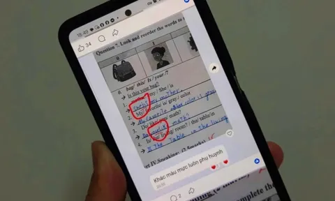 Vụ sửa bài để học sinh bị điểm thấp: Ai bảo vệ quyền lợi học sinh tiểu học?
