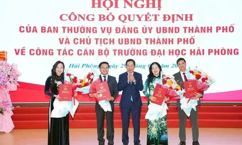 Hải Phòng, Tuyên Quang, Lai Châu bổ nhiệm nhân sự lãnh đạo mới