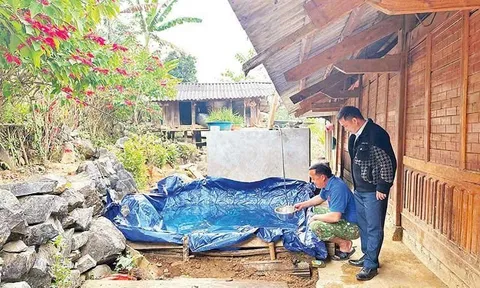 Thoát nghèo từ những mô hình sinh kế bền vững