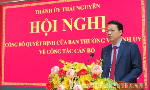 Thái Nguyên bầu tân Phó Chủ tịch tỉnh
