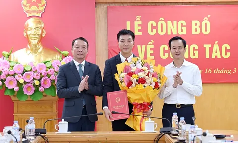 Bổ nhiệm nhân sự lãnh đạo mới tại TP. HCM và Hà Tĩnh