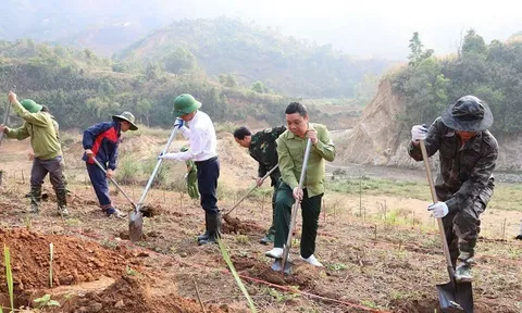 Na Son - Điện Biên đồng loạt ra quân trồng mắc-ca, cà-phê