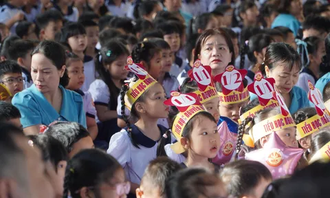 Tuyển sinh đầu cấp TP.HCM: Lớp 1, lớp 6 chuyển toàn bộ sang hình thức đăng ký online