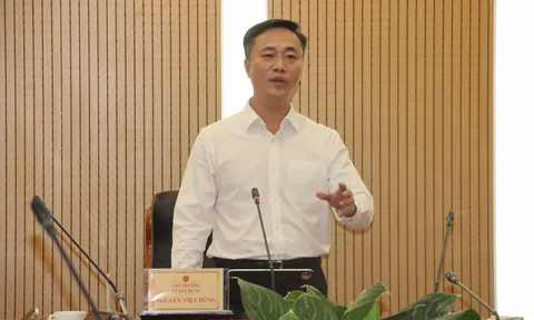 Thứ trưởng Nguyễn Việt Hùng làm Phó Bí thư Tỉnh ủy Khánh Hòa