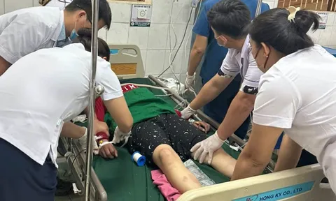 Cứu sống người phụ nữ ngộ độc lá ngón