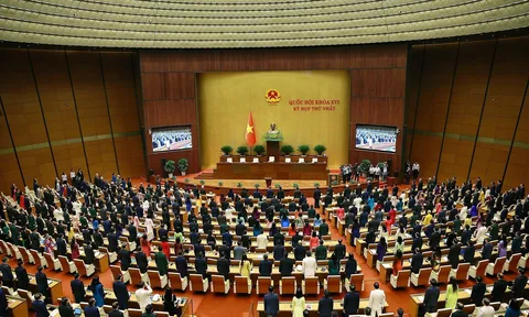 Khai mạc kỳ họp thứ nhất, Quốc hội khoá XVI