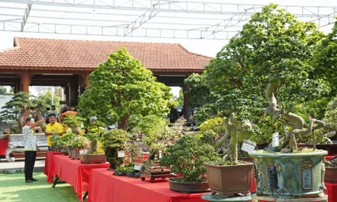 Sinh vật cảnh - cầu nối sáng tạo gắn với du lịch trải nghiệm vùng di sản Mỹ Sơn