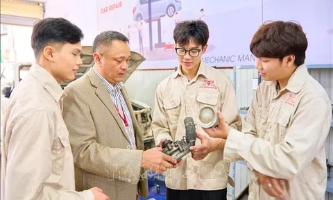 Ban hành chuẩn mới cho giảng viên cao đẳng, mở rộng áp dụng cả công lập và tư thục