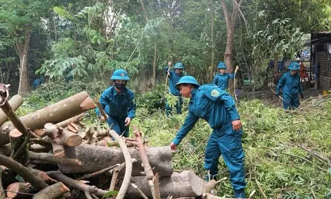 Điện Biên Phủ chung tay giúp dân bàn giao mặt bằng dự án trọng điểm