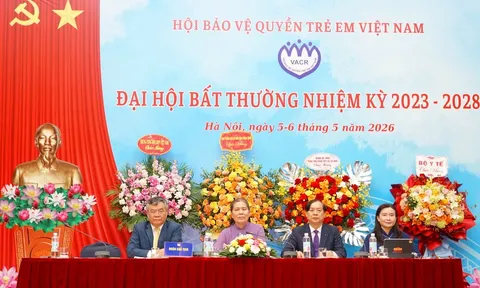 Bà Ngô Phương Ly được mời làm Chủ tịch danh dự Hội Bảo vệ quyền trẻ em Việt Nam