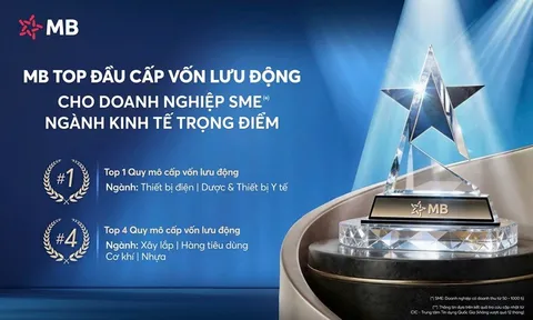 MB – Ngân hàng  top đầu Cấp vốn lưu động cho doanh nghiệp SME thuộc ngành kinh tế trọng điểm