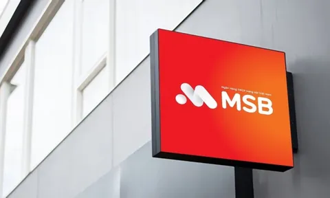 MSB Thái Nguyên còn nhiều tồn tại trong hoạt động tín dụng, bị phạt 50 triệu