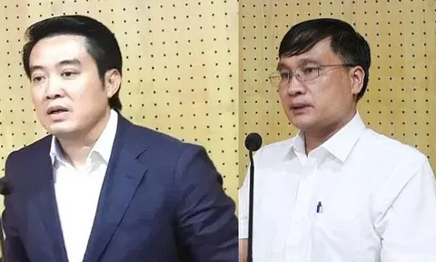 Bổ nhiệm Trợ lý Thủ tướng, Phó Thủ tướng Thường trực