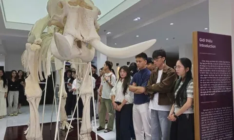 Hành trình từ giảng đường đến thực tiễn: Khát vọng định hình giá trị tri thức tương lai