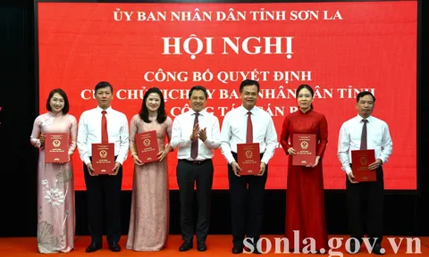 Cần Thơ, Sơn La điều động, bổ nhiệm nhân sự lãnh đạo mới