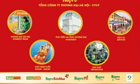Gạo Hapro Đồng Tháp – Nâng tầm hạt ngọc Việt