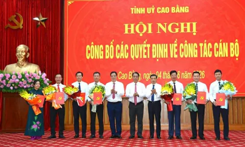 Nghệ An, Cao Bằng điều động, bổ nhiệm nhân sự lãnh đạo mới