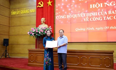 Quảng Ninh điều động, phân công Phó Chủ tịch tỉnh