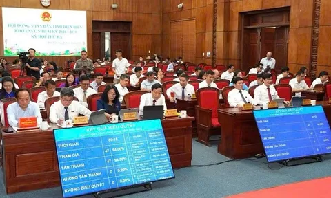 Điện Biên thông qua chuyển đổi hơn 53 ha rừng để triển khai 4 dự án phát triển