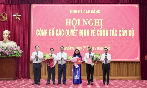 Quảng Ninh, Sơn La, Cao Bằng kiện toàn nhân sự, điều động bổ nhiệm cán bộ chủ chốt