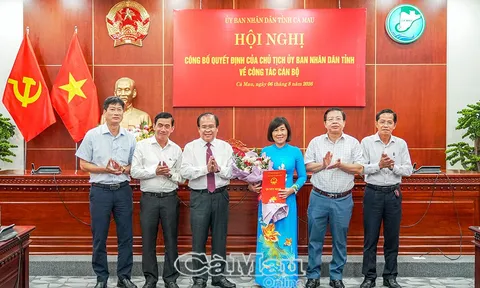 Kiện toàn nhân sự chủ chốt, bổ nhiệm lãnh đạo mới tại Hà Tĩnh và Cà Mau