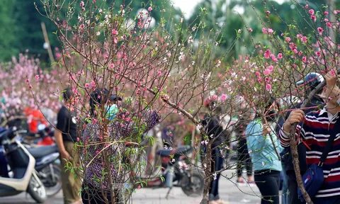 Dự kiến Tết Đinh Mùi nghỉ từ 28 tháng Chạp