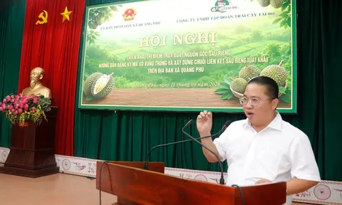 Tập Đoàn Tài 001: Mở rộng thị trường nội địa, xây dựng chuỗi sầu riêng  minh bạch từ vùng trồng đến người tiêu dùng