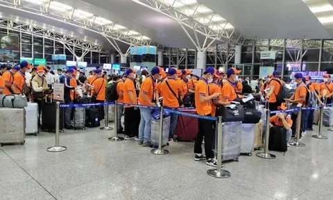 Lao động Việt ở nước ngoài cần lưu ý loạt quy định xử phạt mới