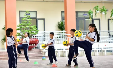 TP. HCM tái cấu trúc mạng lưới trường học, gần 100 cơ sở mang tên mới