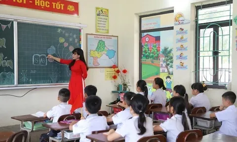 TP.HCM giảm gần một nửa số lượng hiệu trưởng, hiệu phó sau sắp xếp trường học