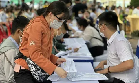 TP.HCM tăng tốc kết nối việc làm khi số người đề nghị hưởng trợ cấp thất nghiệp tăng