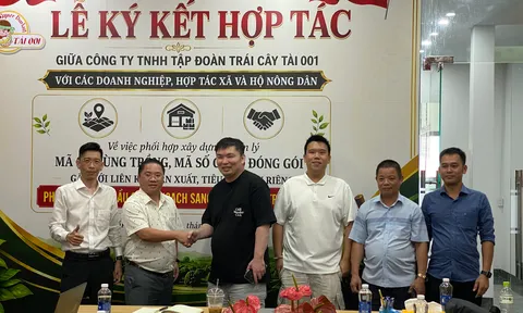 Tư duy doanh nhân trong xây dựng chuỗi giá trị sầu riêng bền vững