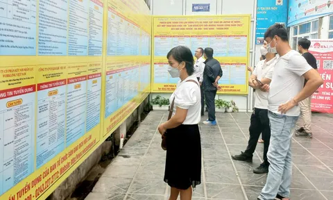 1,6 triệu thanh niên từ 15 - 24 tuổi chưa đi làm, chưa học nghề trong quý III/2026