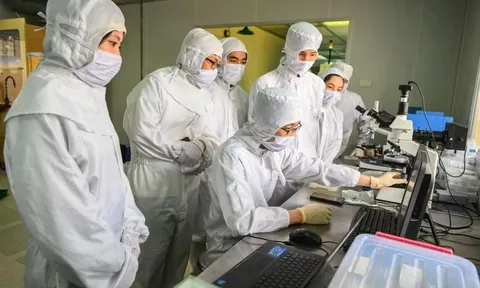 Việt Nam tăng 5 bậc trong bảng xếp hạng nhà khoa học có ảnh hưởng toàn cầu