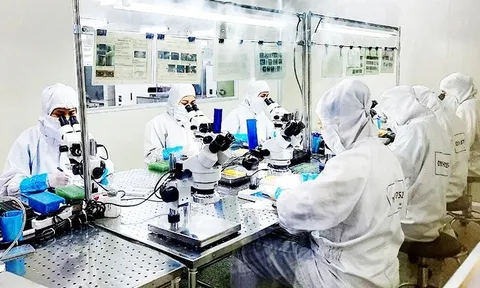 Miễn thuế thu nhập cá nhân để thu hút nhân tài lĩnh vực dữ liệu